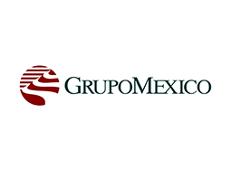 client-logo_grupo-mexico-ojtmo85qg1nt2ts25vsr4rz9isq6cgpfn6jdxb7kzy